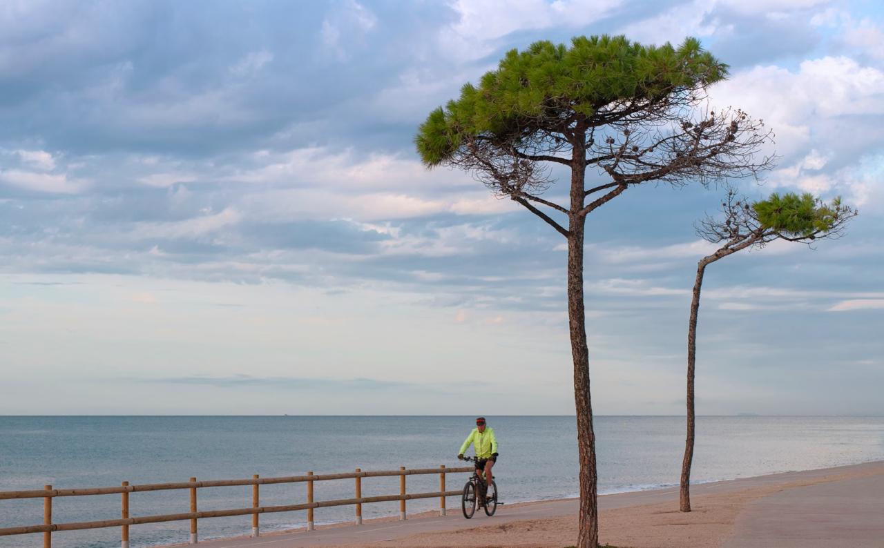 A cyclist in a bright yellow jacket riding a seafront promenade beside a wooden fence, framed by two tall Mediterranean pine trees under a cloudy evening sky.