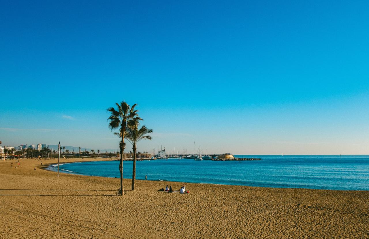 Palm trees along Barcelona beach promenade under blue sky