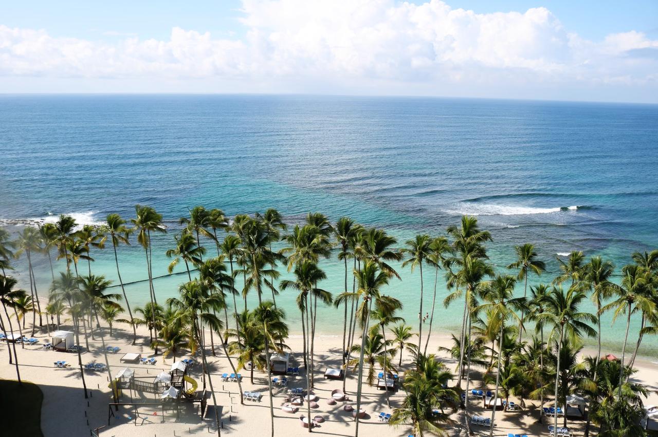 Palm-lined turquoise beach at a Dominican Republic