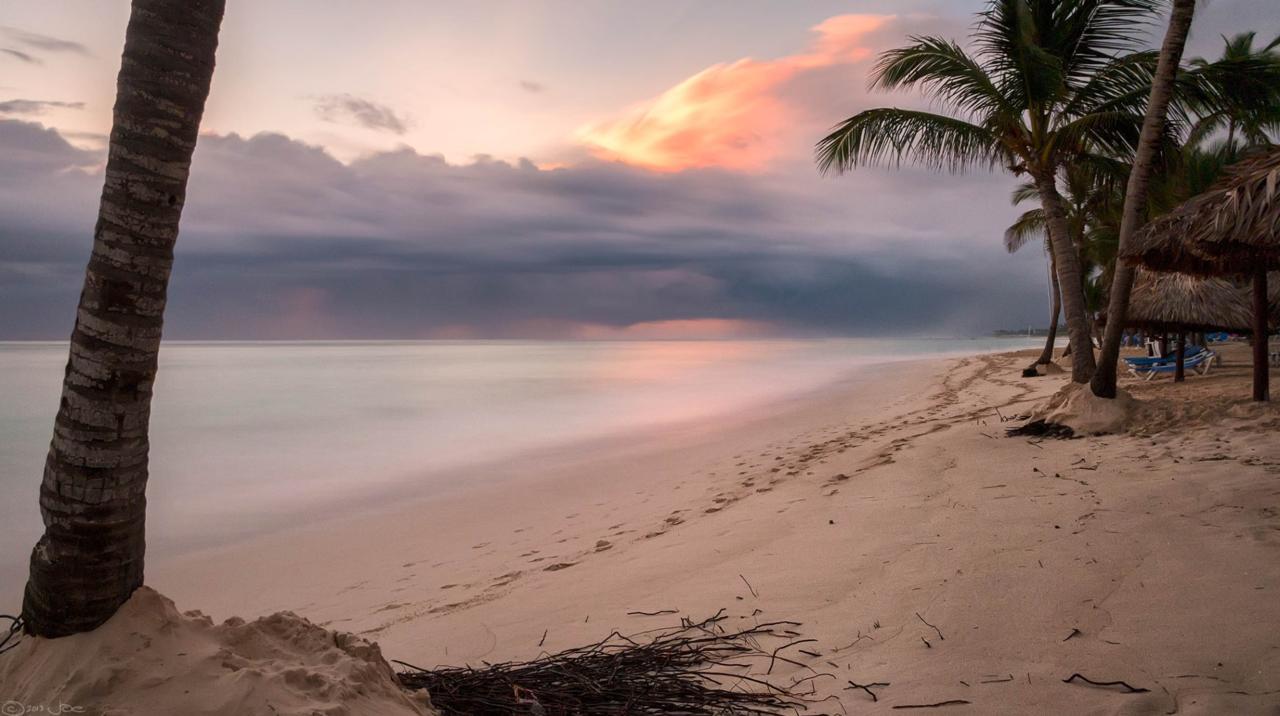 Playa Macao in Punta Cana with rolling waves and a rugged, undeveloped shoreline dotted with palm trees