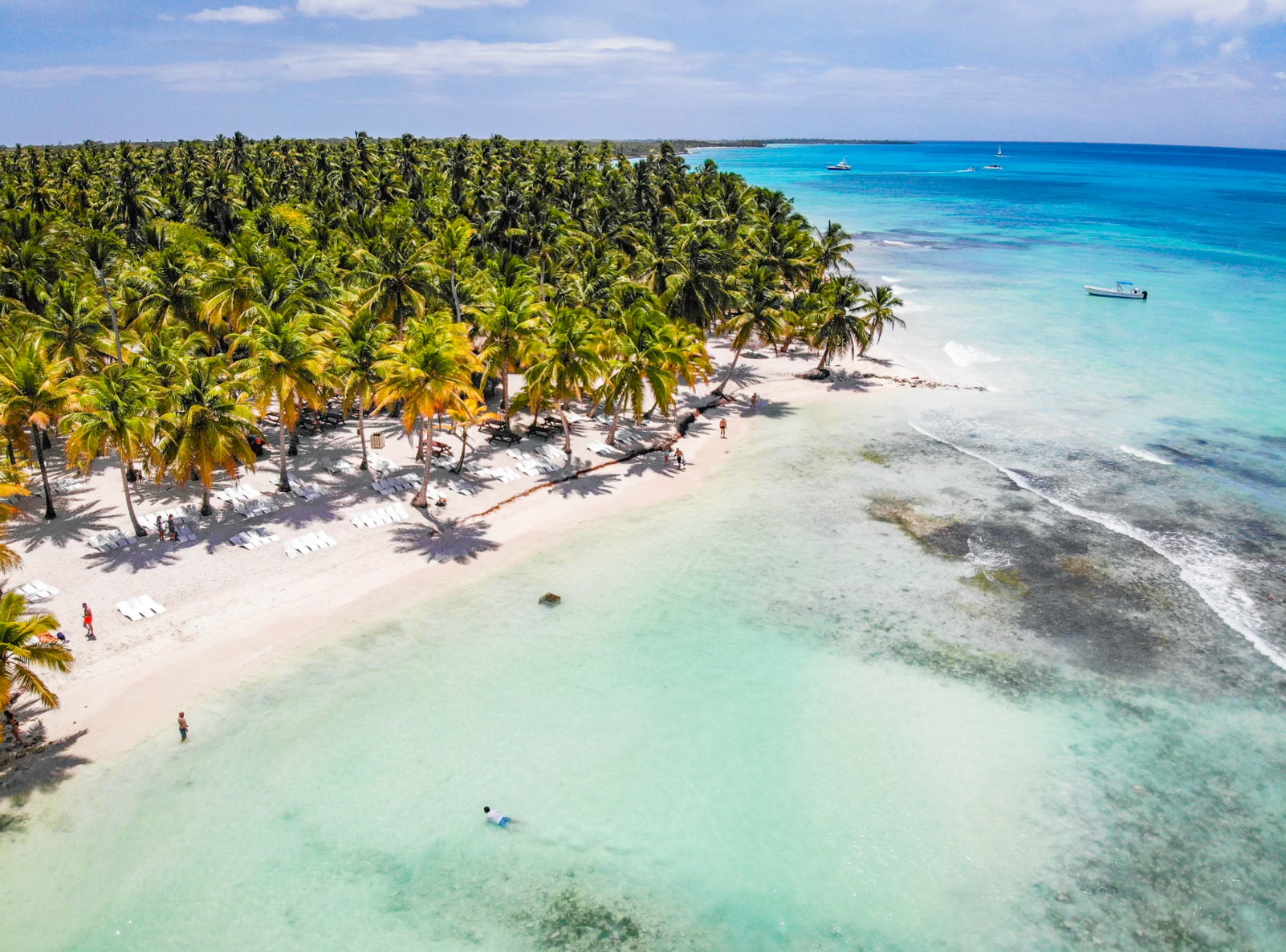 Aerial view of a palm-lined white sand beach in Punta Cana, with sun loungers under coconut palms, people wading and snorkeling in clear turquoise water, and boats anchored over a coral reef offshore.