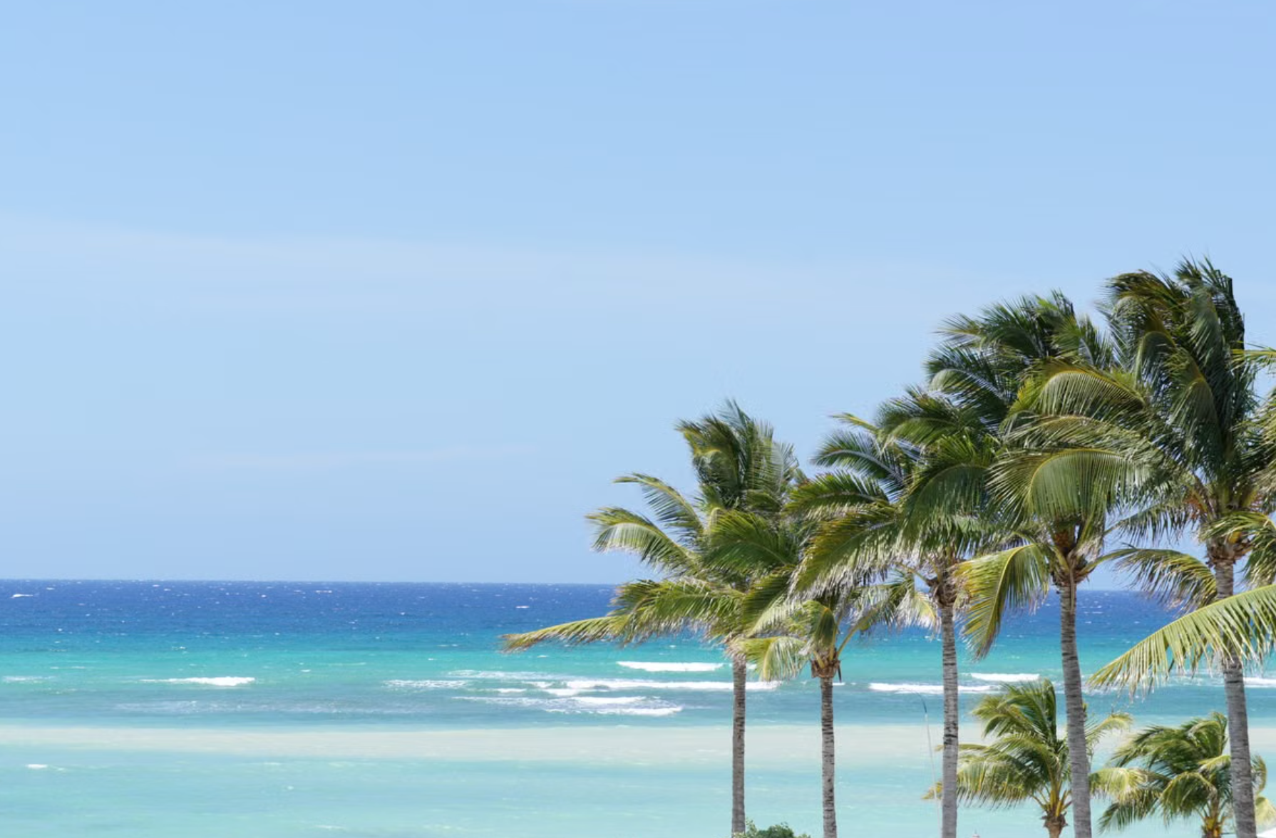 sunny, calm day on a Punta Cana beach during the December to April dry season, with clear blue skies and gentle turquoise water