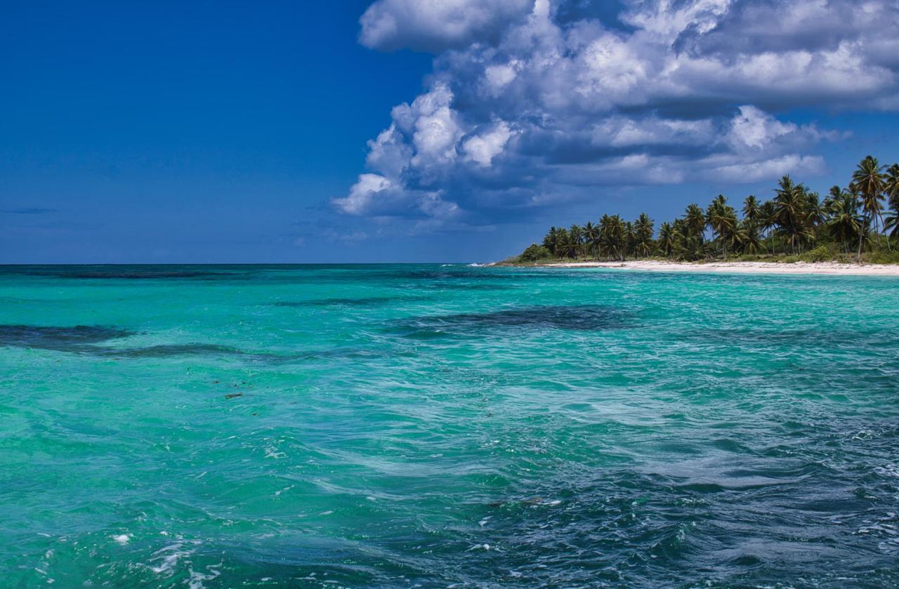 Crystal-clear turquoise water laps white sand beach tropical paradise
