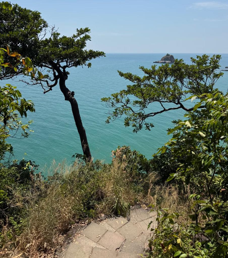 Carved stone staircase descending clifftside overlooking forested islands below