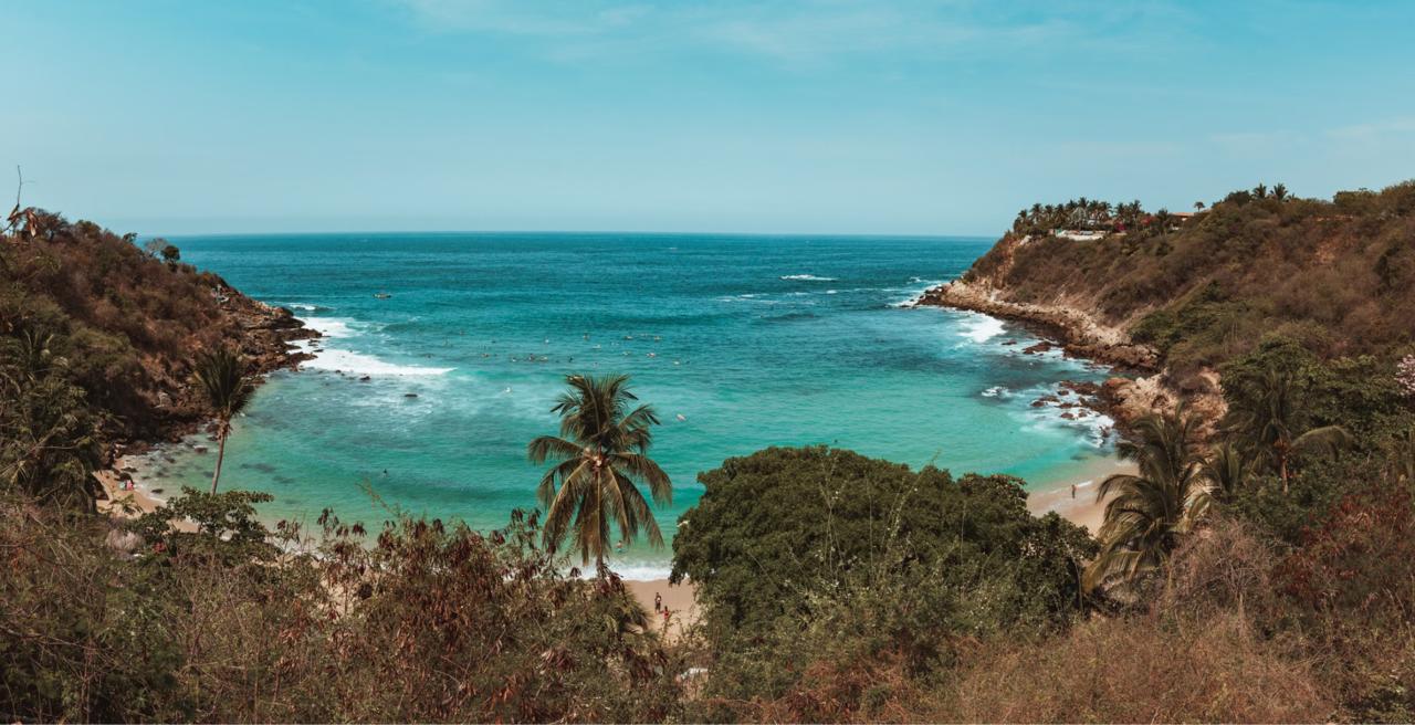 The sheltered turquoise cove of Carrizalillo ringed by cliffs and greenery, with a single palm and surfers in the water.
