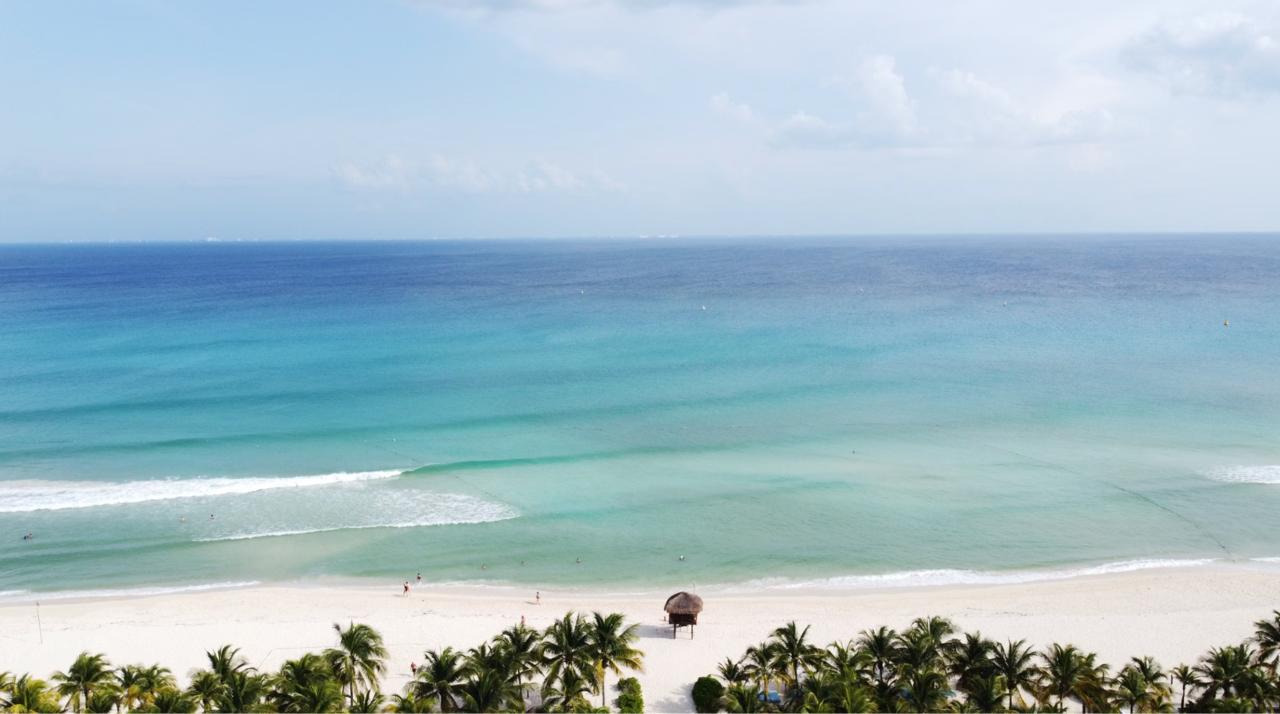 Aerial view of a palm-fringed Riviera Maya beach with white sand and a lone beach palapa, the water shading from turquoise to deep navy.