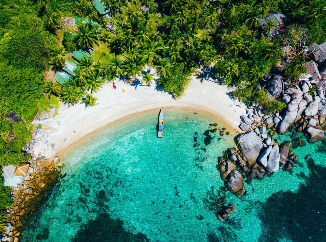 Colourful coral reef beneath the crystal waters of Koh Tao