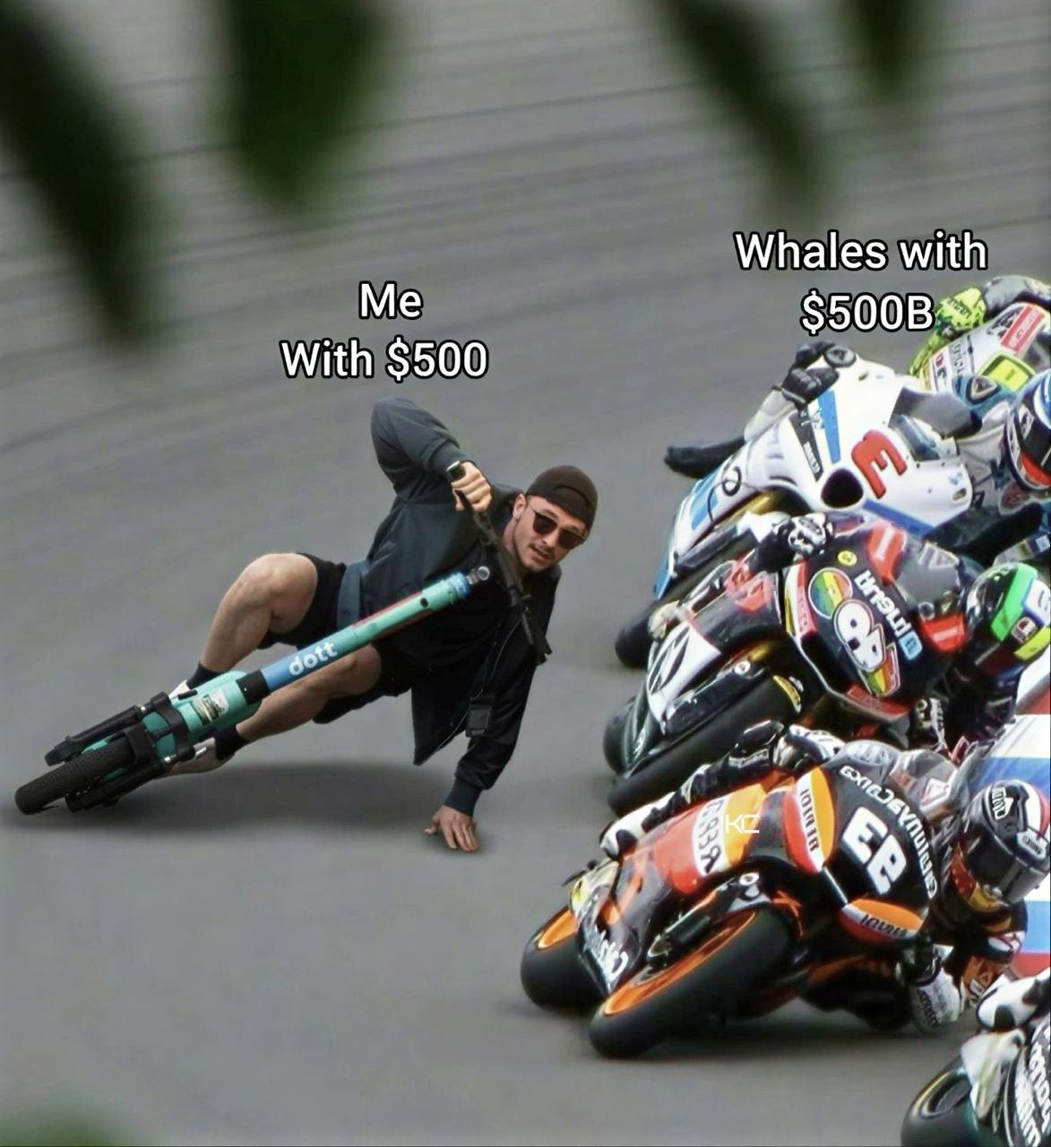 Motorbike racing meme, a man crashing labeled me with 500 dollars beside a pack of racers labeled whales with 500B.