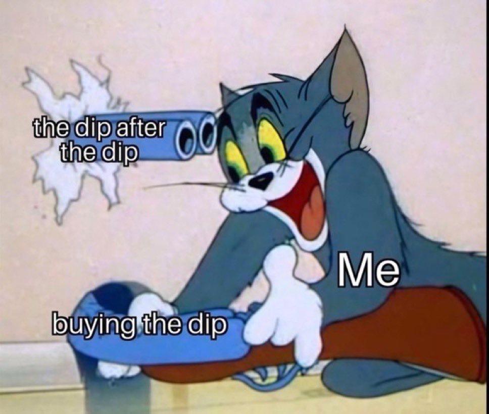Tom the cat with a shotgun labeled me buying the dip, blasted by the dip after the dip.