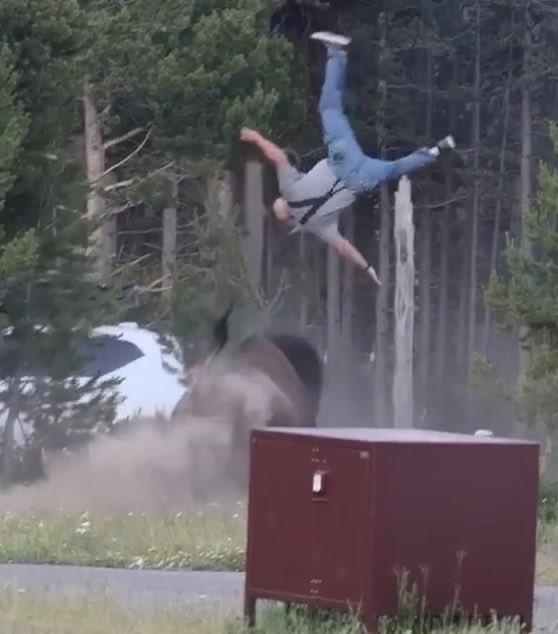Man flung into the air over a dumpster after a car crash, used as a reaction to a bad trade.