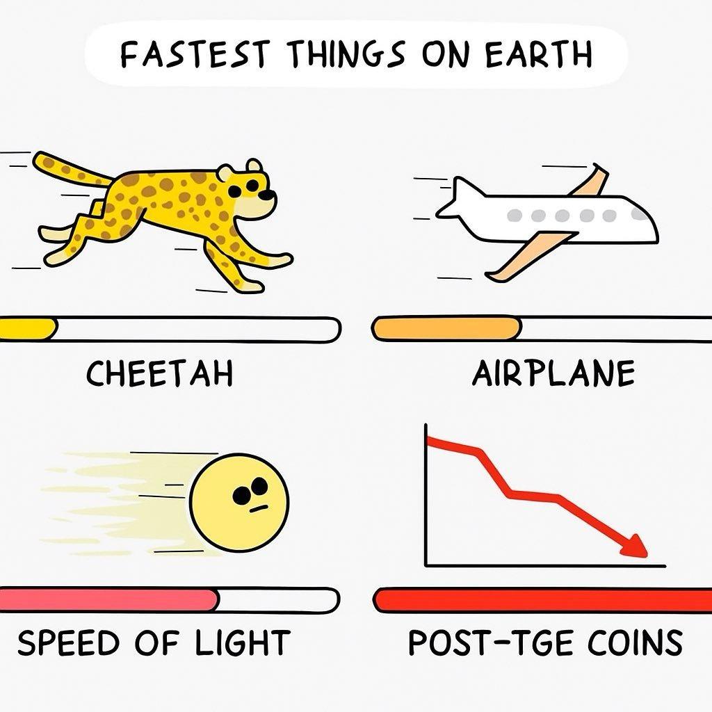 Fastest things on earth chart with cheetah, airplane and speed of light, topped by a crashing price chart labeled post-TGE coins.