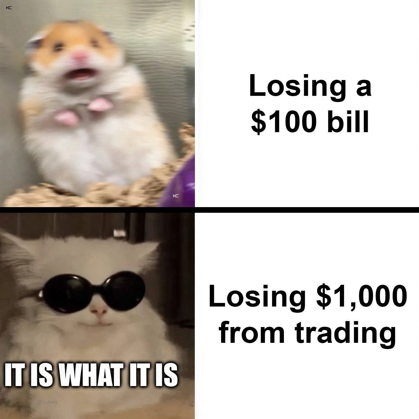 Two-panel meme, a screaming hamster over losing a 100 dollar bill and a calm cat over losing 1000 dollars from trading.