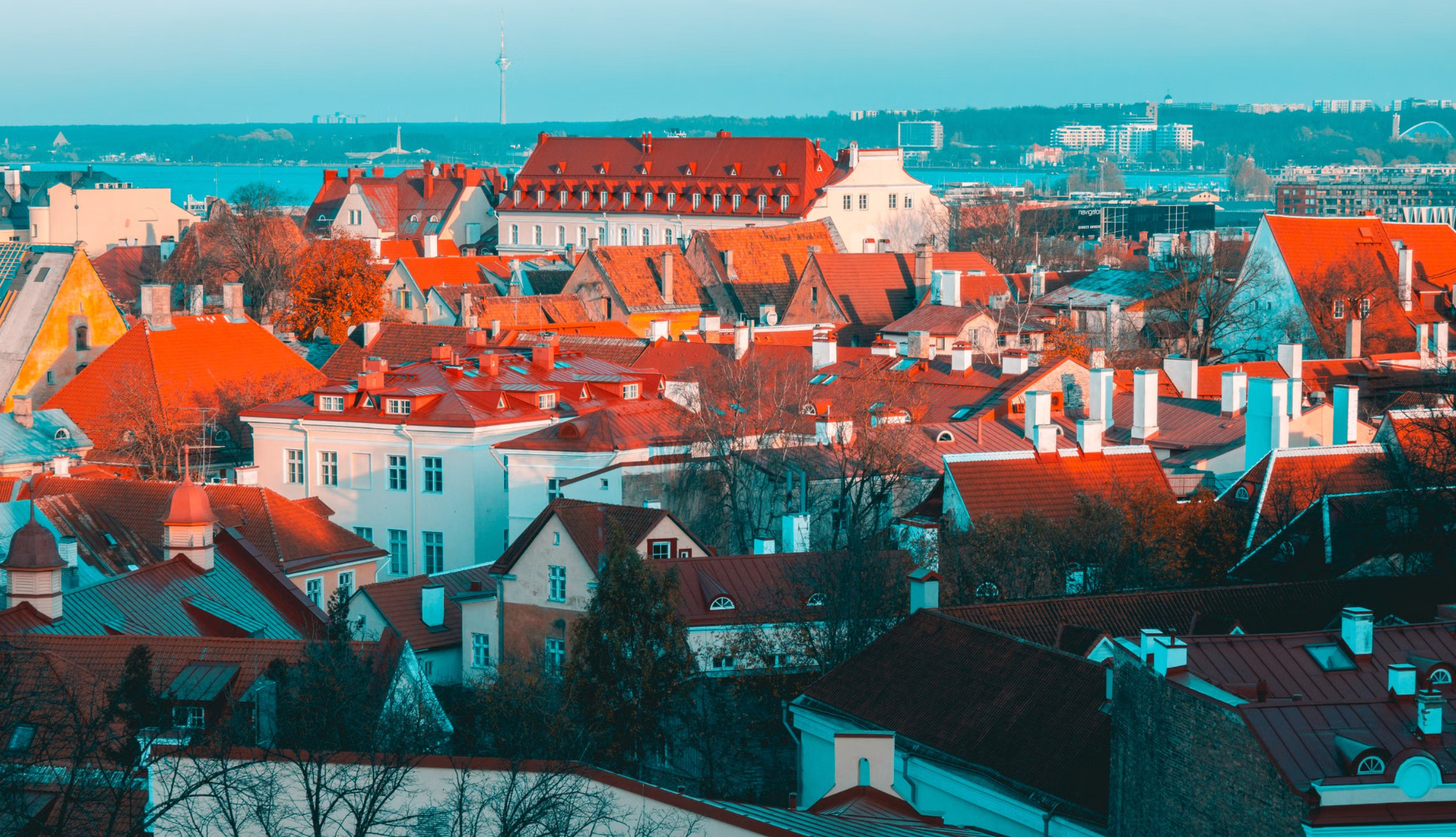 Red-roofed Tallinn Old Town rooftops with distant TV Tower and sea