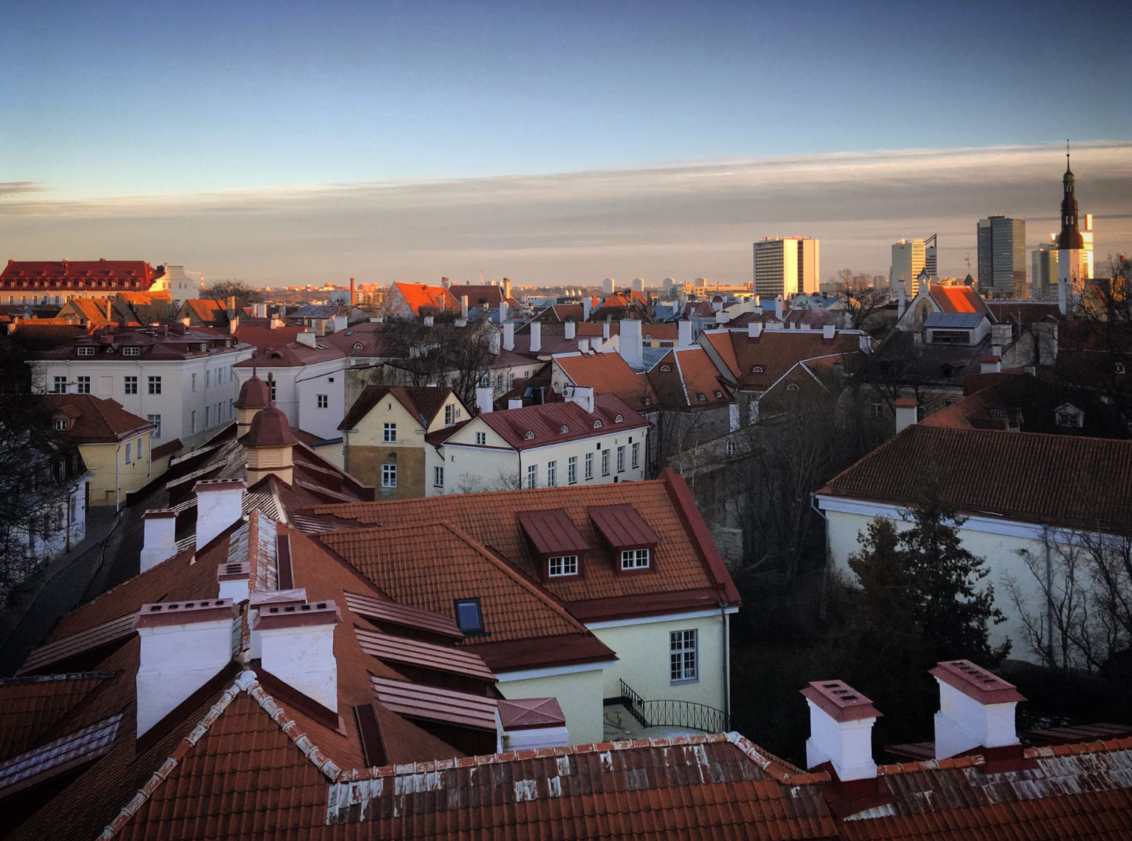 Red-roofed Tallinn Old Town rooftops below modern skyline at dusk