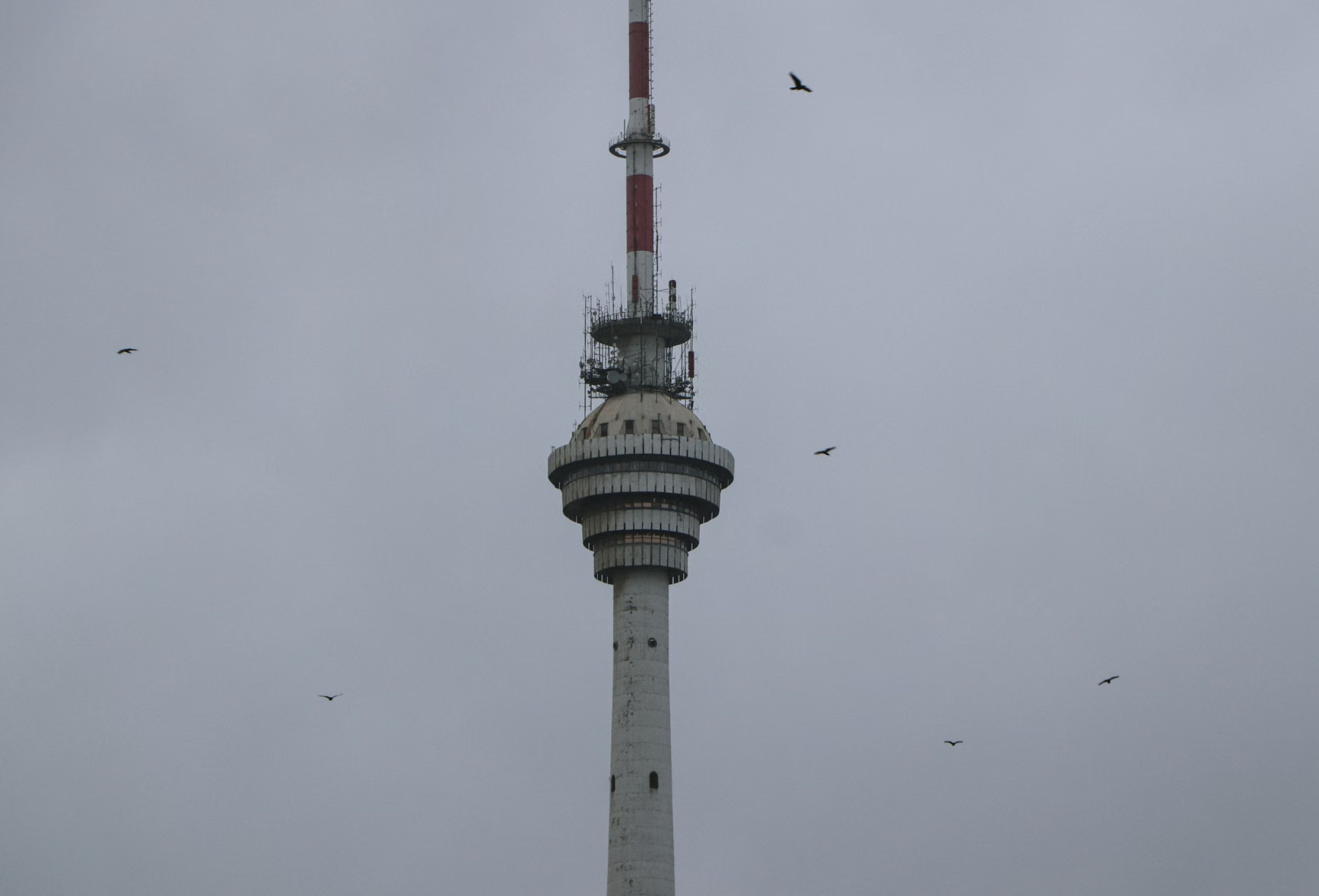 Tallinn TV Tower observation deck rising into grey Estonian sky