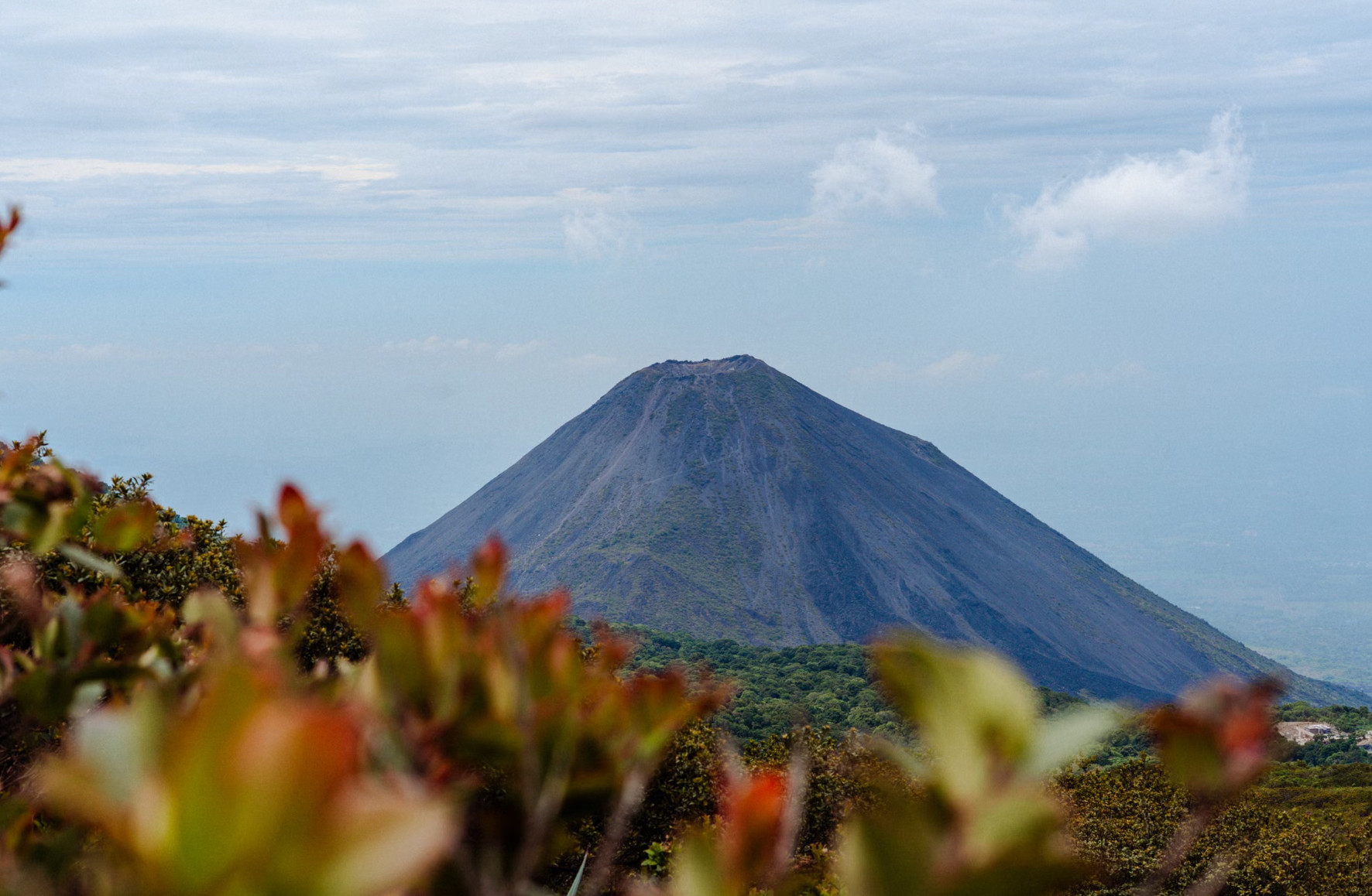 Conical Izalco volcano rising above green forest, El Salvador