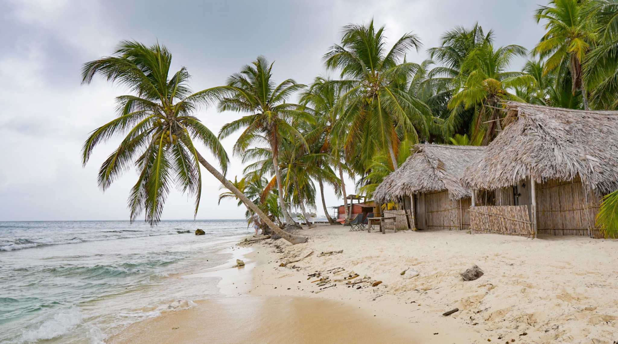 Palm trees and thatched huts on San Blas beach