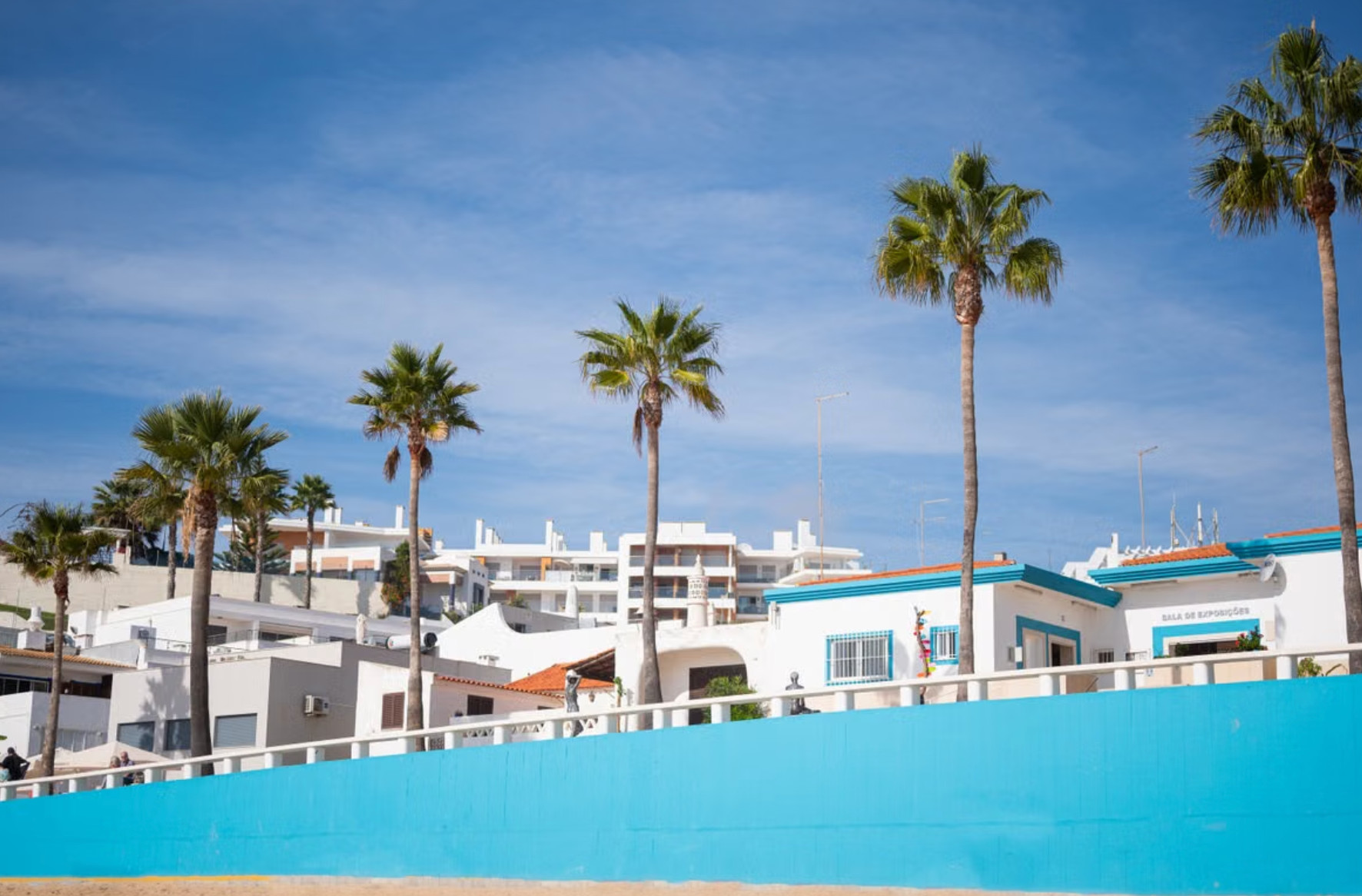 Palm trees above whitewashed houses near Albufeira beach in Algarve