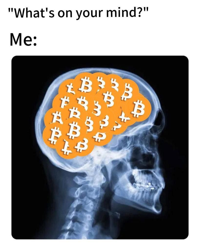 There's genuinely nothing else up there (crypto meme)