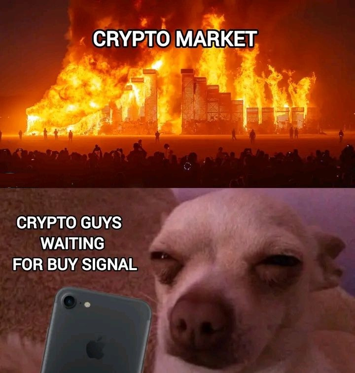 Never back down, never what? (crypto meme)