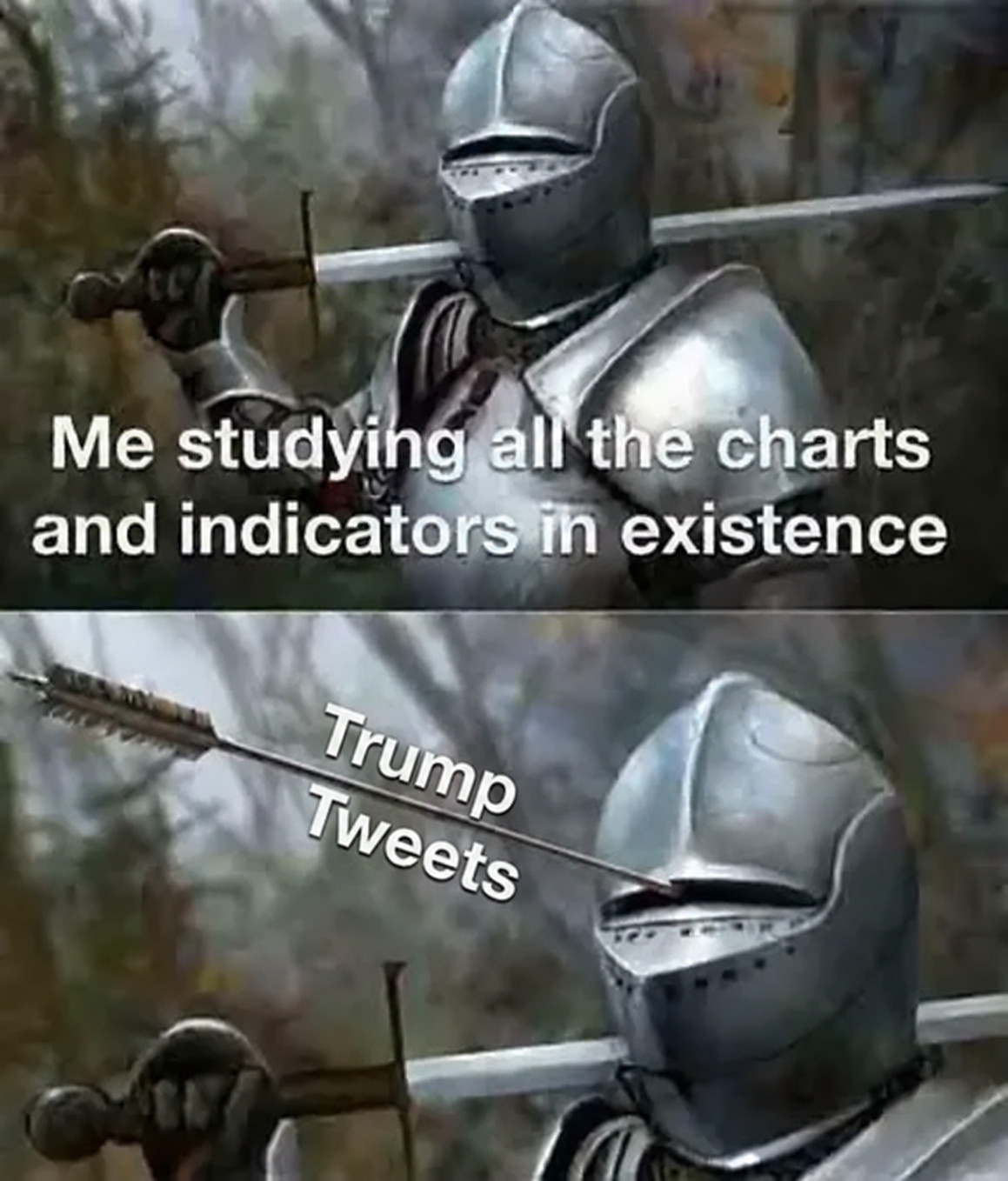 400 hours of TA vs one tweet (crypto meme)
