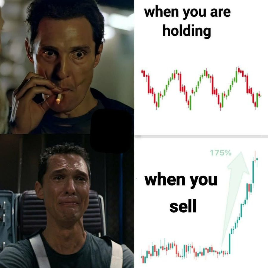 It waits for you to sell, then it flies (crypto meme)