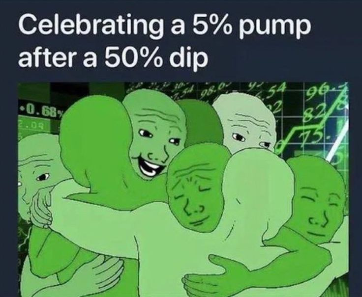 a 5% pump after a 50% dip, we're healing (crypto meme)