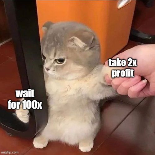 Why stop at 2x? (crypto meme)
