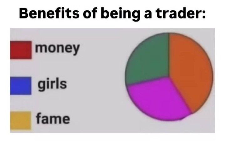 Money, girls, fame, and a pie chart of none (crypto meme)