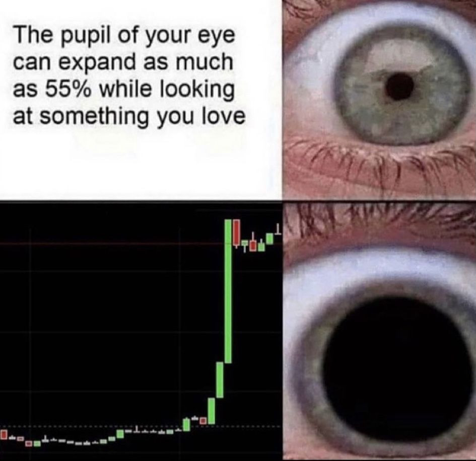 Pupils dilate at whatever you love (crypto meme)