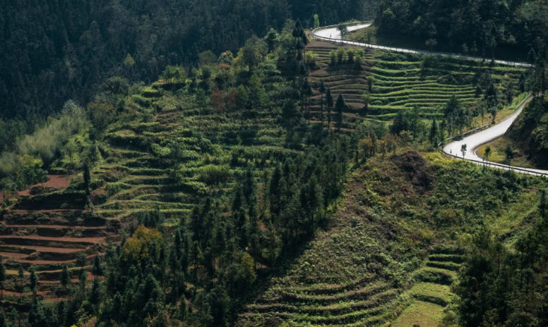 Terraced green hillsides and a winding mountain road, South America