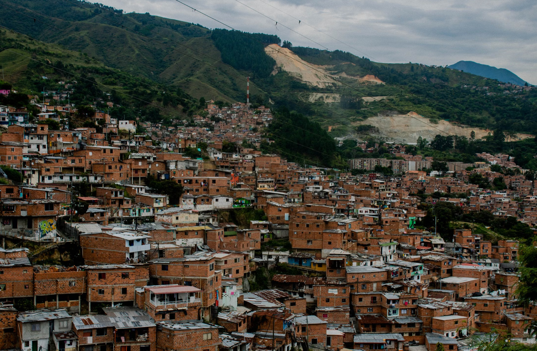 Dense brick houses climbing a steep green hillside neighbourhood