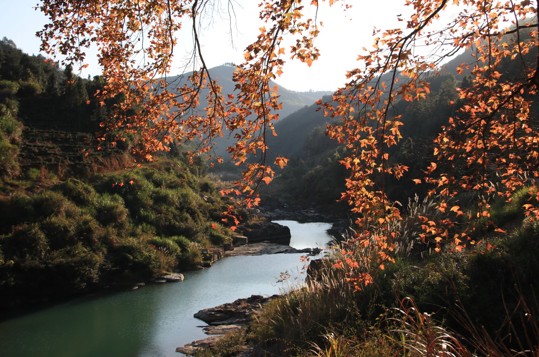 Calm river winding through hills framed by autumn leaves