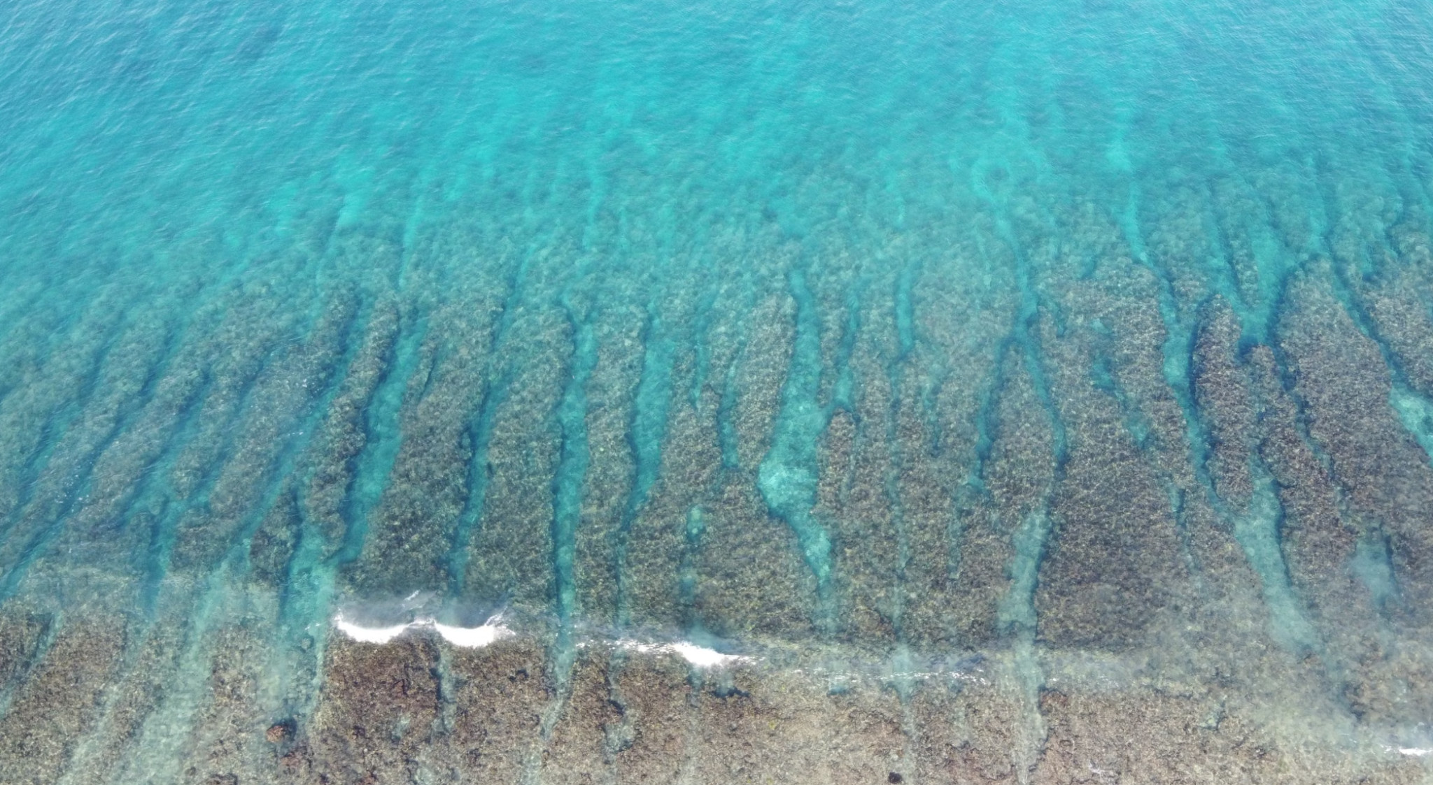Aerial view of shallow reef beneath turquoise Galápagos water