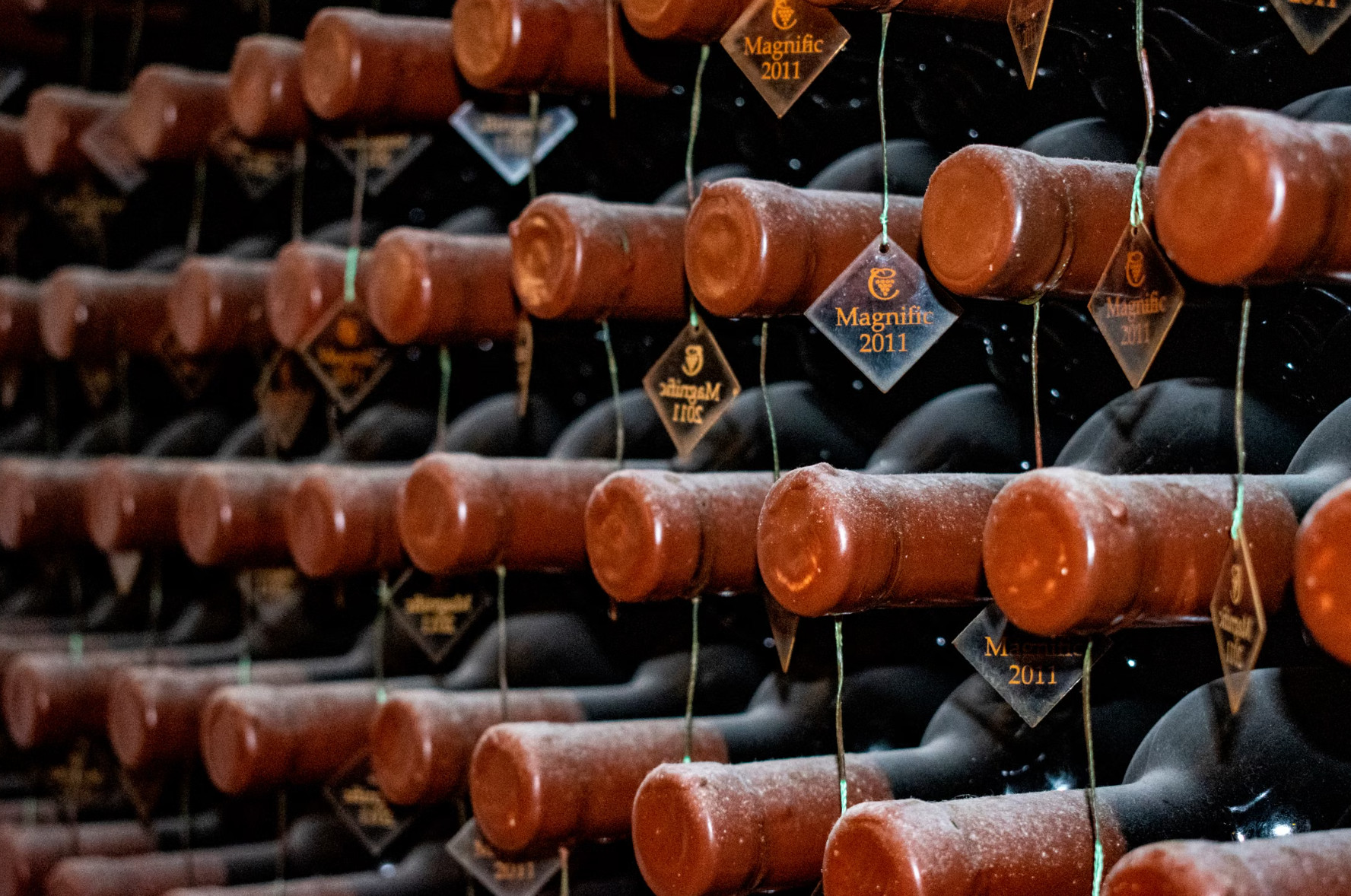 Aged red wine bottles stacked in dark underground cellar