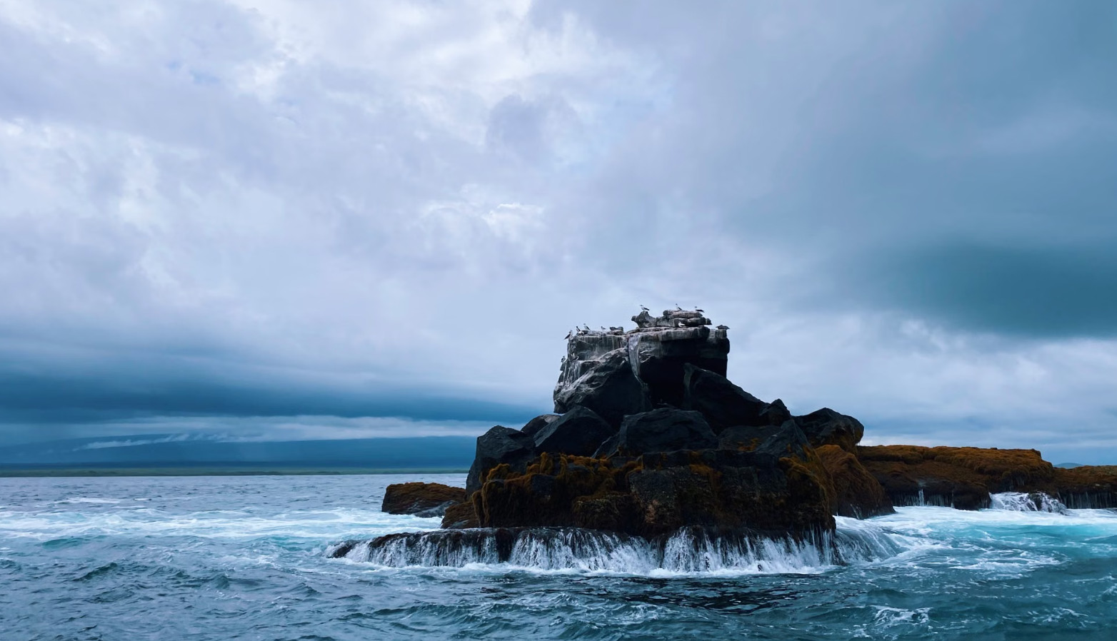 Top 8 Incredible Things to Do in the Galápagos Islands (2026 Guide)