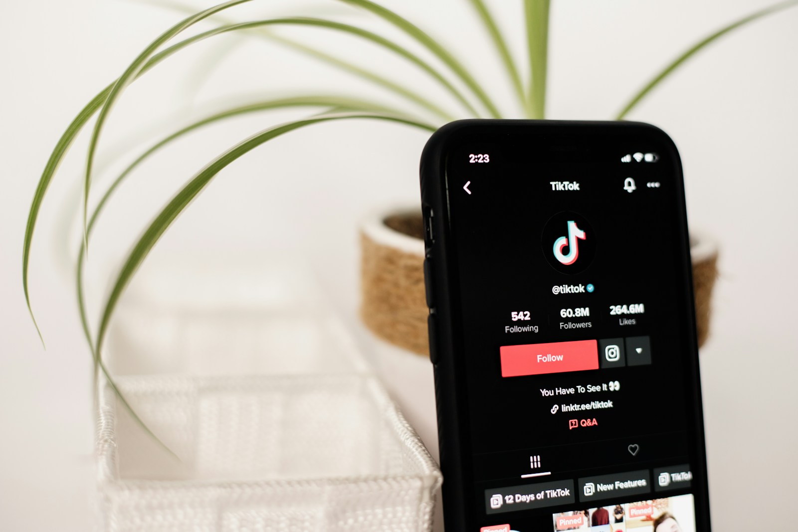 Building a TikTok Audience from Zero: The 3-Step Growth Roadmap