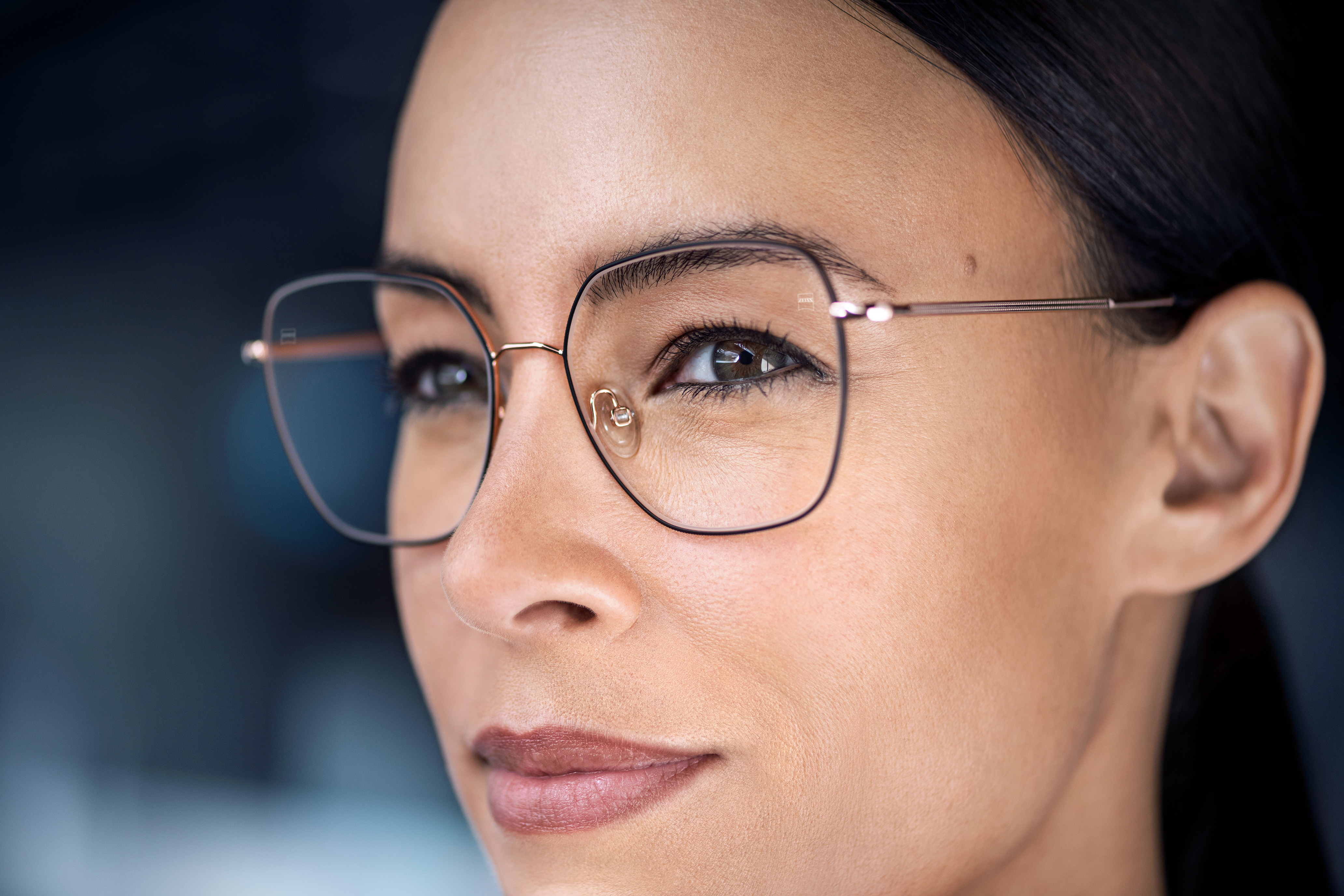 Zeiss Morpheus Case Study