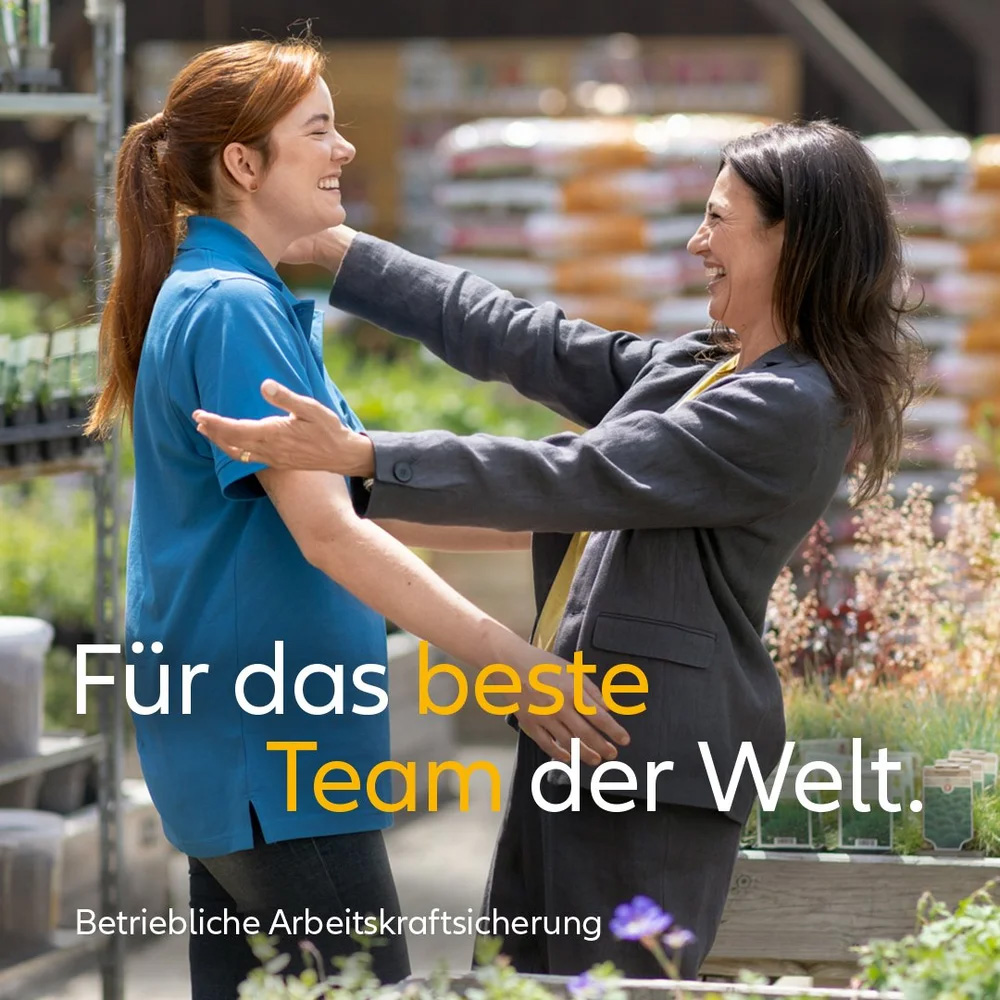 Allianz Campaign Case Study