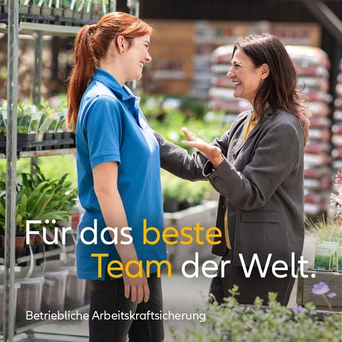 Allianz Campaign Case Study