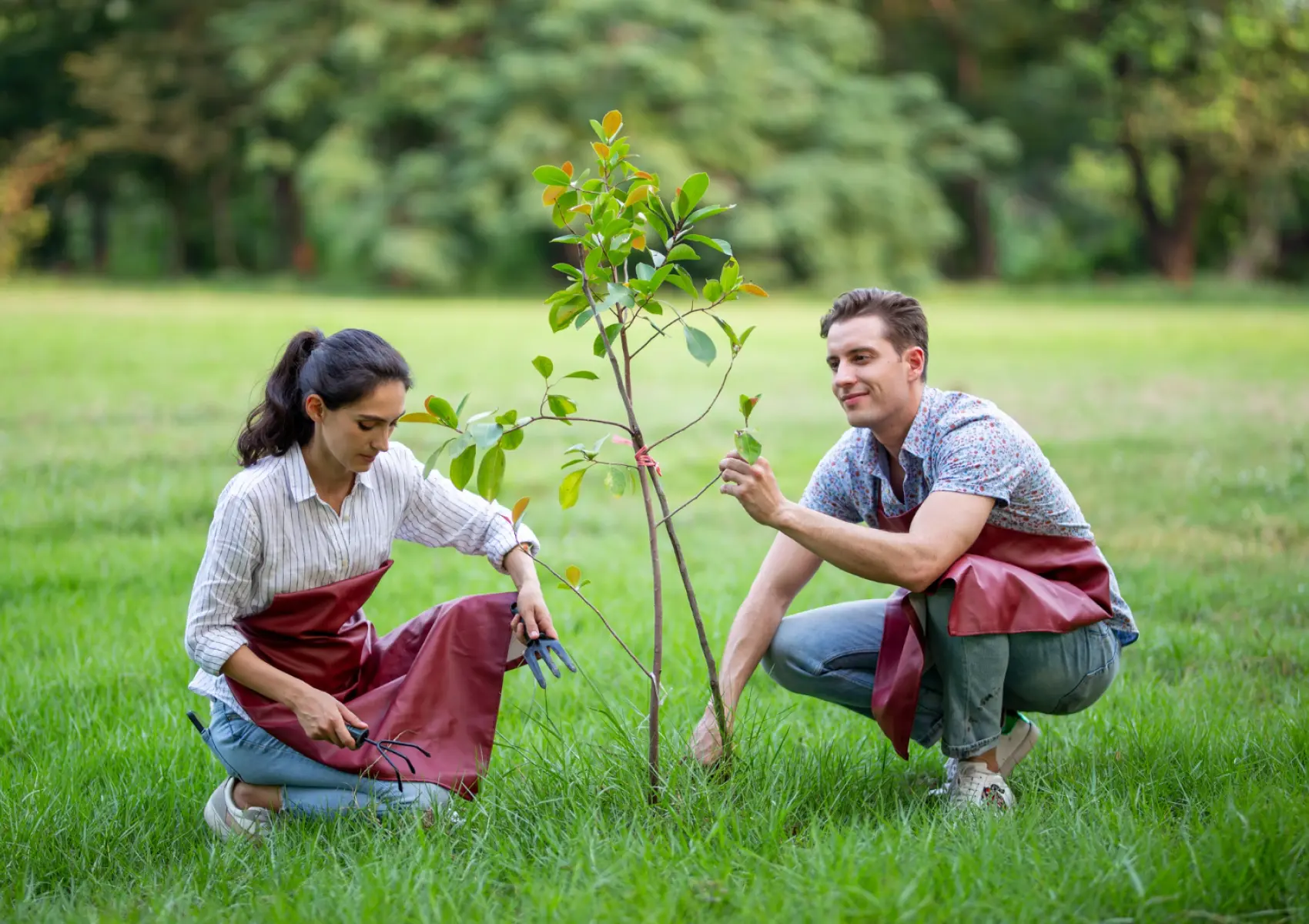 Civic environmental action volunteer
