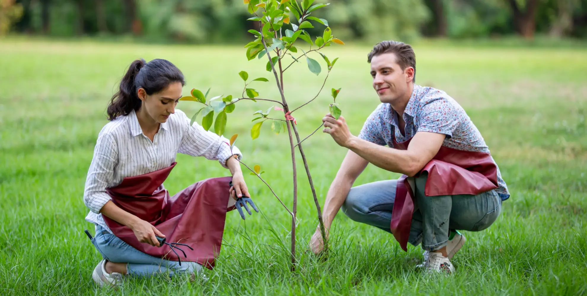 Civic environmental action volunteer