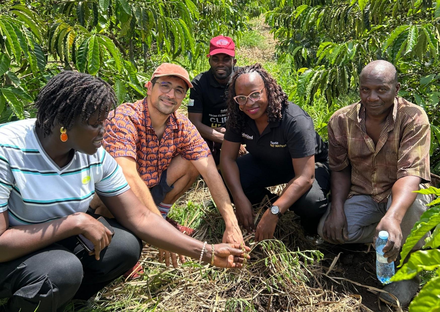 Five people crouching among coffee bushes to examine a patch of mulched soil during a farm visit in Uganda