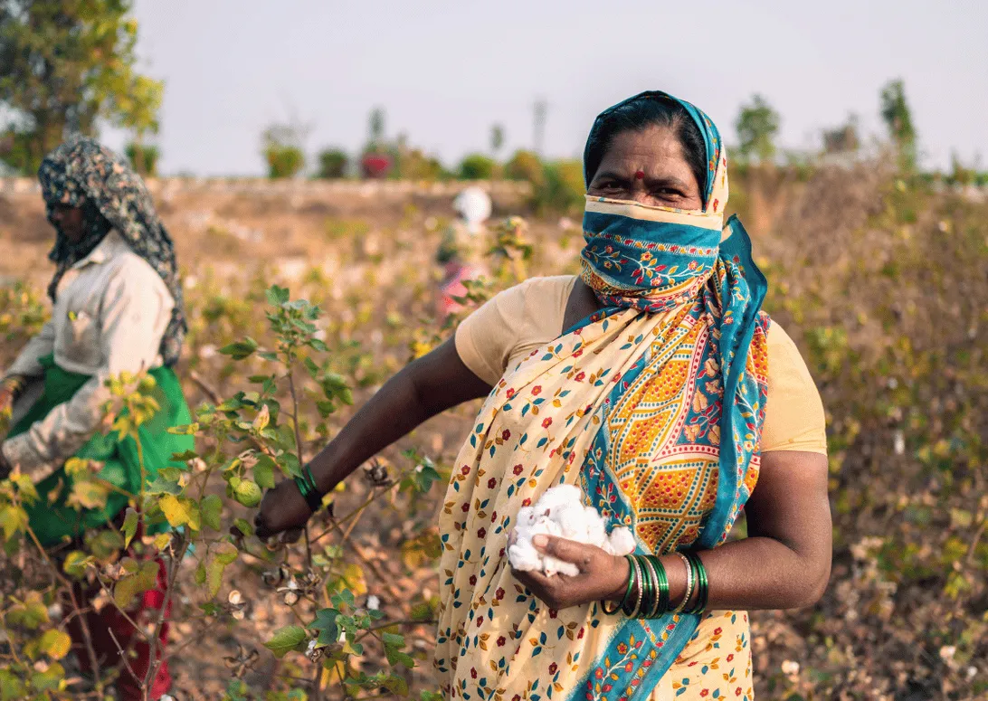 A cotton farmer in Nagpur, India, holding freshly picked cotton in a field