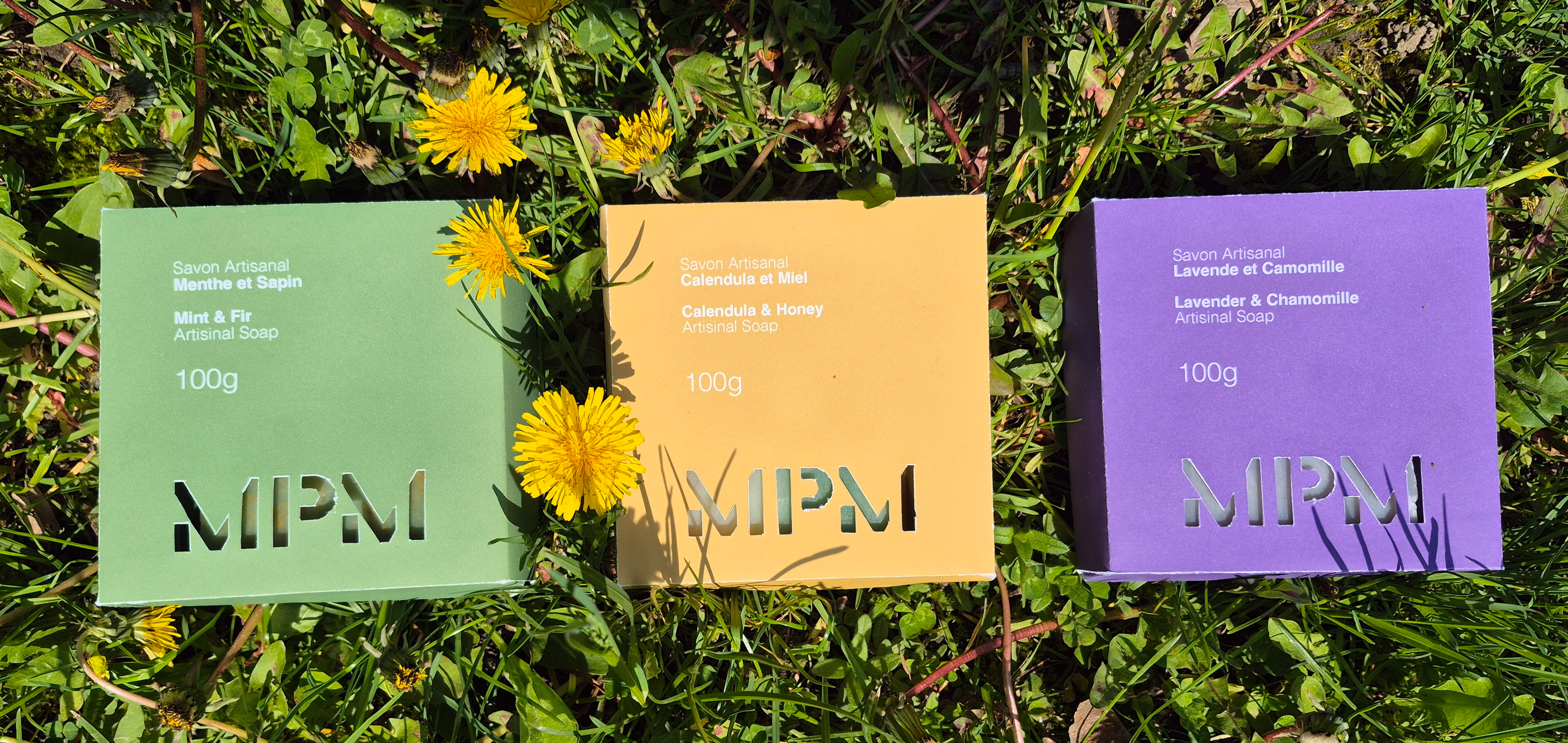 Three artisanal soap boxes in green, yellow, and purple labeled Mint & Fir, Calendula & Honey, Lavender & Chamomille.