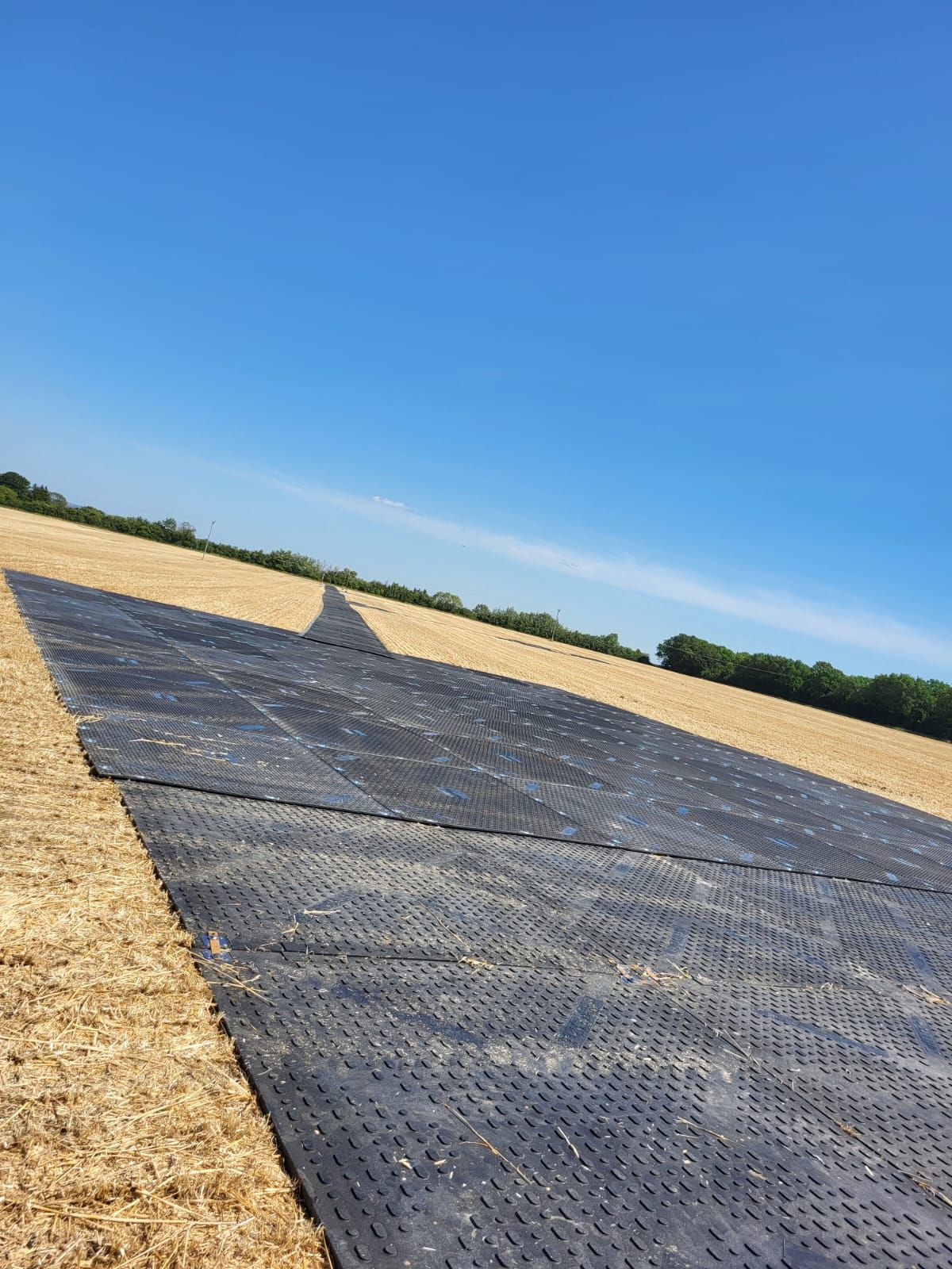 Chevron traction pattern on Notus trackway panels