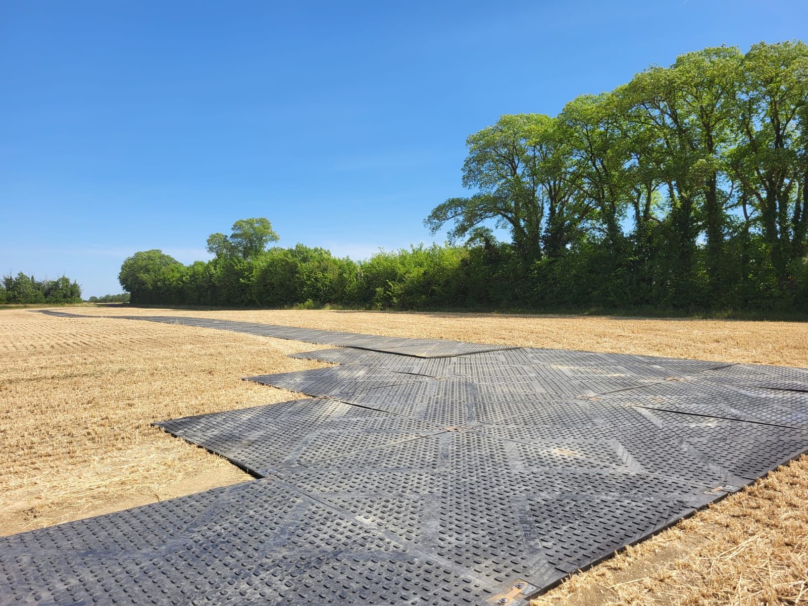 Heavy-duty ground protection panels deployed on soft terrain