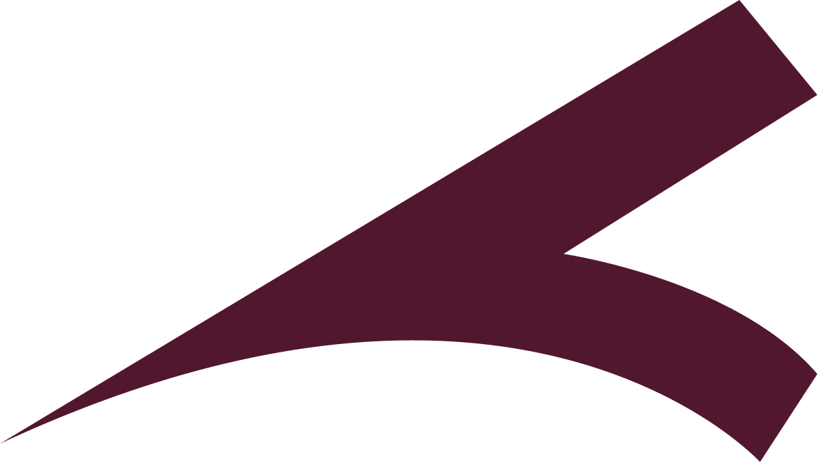 veryn icon