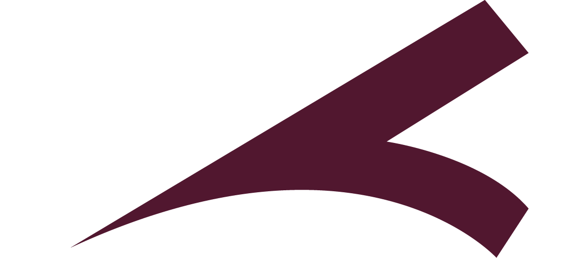 Veryn logo icon