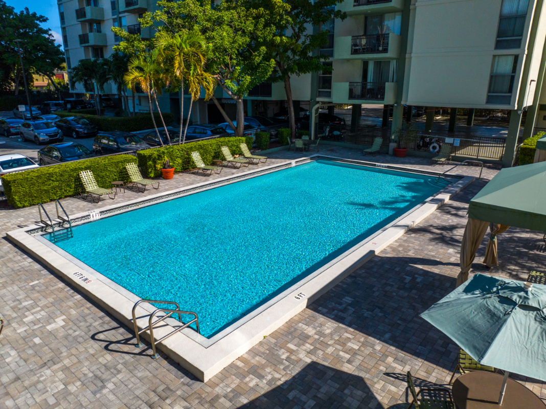 Swimming pool with lounge chairs, and palm trees